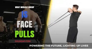 Face Pulls: Targeting Rear Delts, Upper Back, and Rotator Cuffs