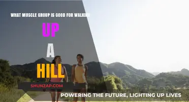 Conquering Inclines: The Essential Muscle Groups for Hill Walking