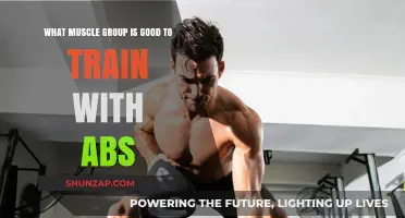 Core Synergy: Optimal Muscle Groups to Train Alongside Abs