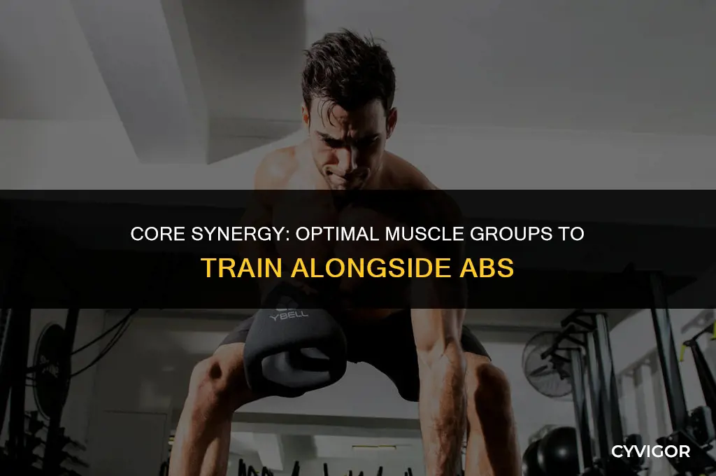 what muscle group is good to train with abs