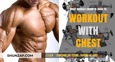 Sculpt Your Physique: Best Muscle Groups to Pair with Chest Workouts
