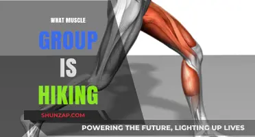 Hiking's Full-Body Benefits: Targeted Muscle Groups Explained