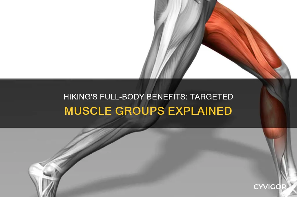 what muscle group is hiking