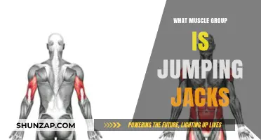 Jumping Jacks: A Full-Body Workout or Targeted Muscle Group?