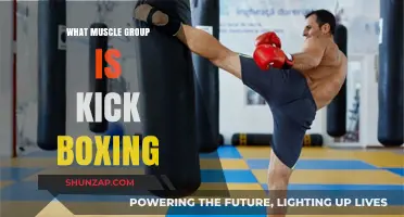 Kickboxing's Full-Body Workout: Targeted Muscle Groups Explained