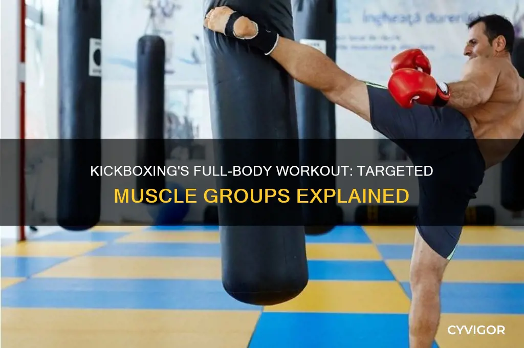 what muscle group is kick boxing