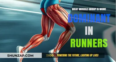 Dominant Muscles in Runners: Unlocking the Key to Speed and Endurance
