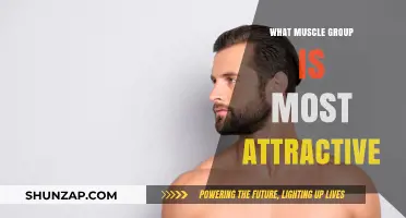 Sculpting Appeal: The Most Attractive Muscle Groups Revealed