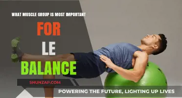 Core Muscles: The Key to Superior Balance and Stability