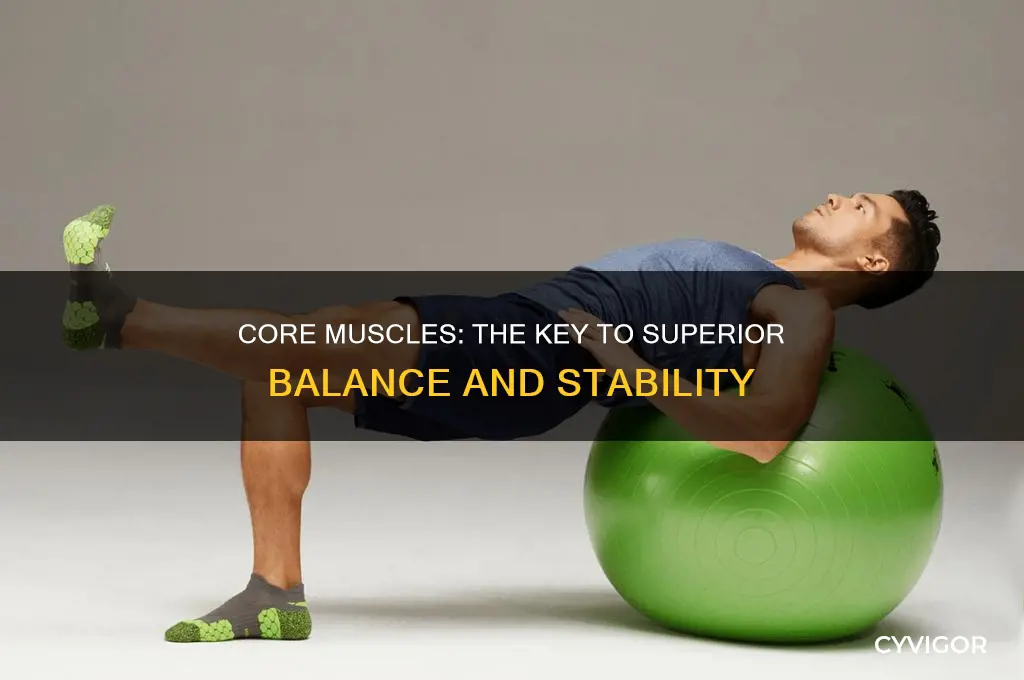 what muscle group is most important for le balance