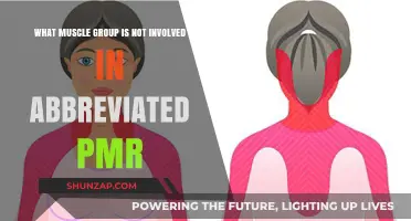 Muscles Exempt from Abbreviated PMR: Unveiling the Untouched Group