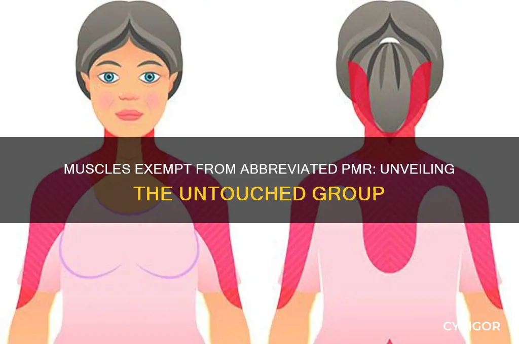 what muscle group is not involved in abbreviated pmr