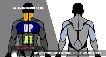 Push-Ups Target: Chest, Shoulders, Triceps, and Core Muscles Explained
