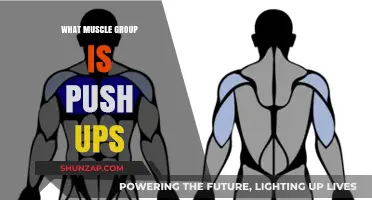Push-Ups: Targeting Chest, Shoulders, Triceps, and Core Muscles