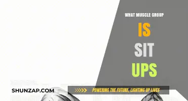 Sit-Ups Target Core Muscles: Unlocking Strength and Stability