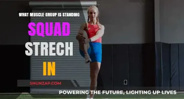 Standing Squad Stretch: Targeting Key Muscle Groups for Flexibility