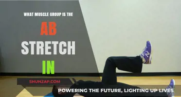 Ab Stretch Muscle Group: Core Activation and Flexibility Explained