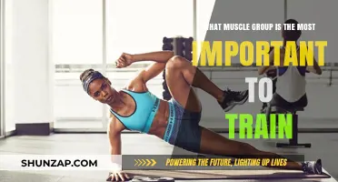 Unlocking Strength: The Most Crucial Muscle Group to Train