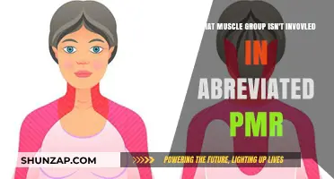 Unveiling the Muscle Group Absent in Abbreviated PMR Sessions