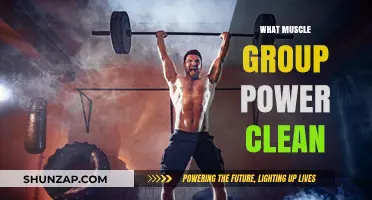 Power Clean: Targeted Muscle Groups for Explosive Strength and Performance