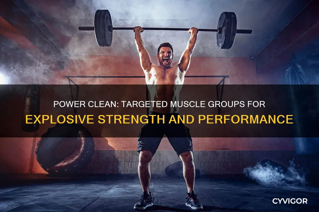 what muscle group power clean