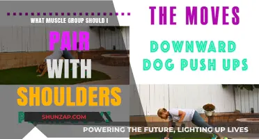 Pairing Shoulders: Optimal Muscle Groups for Balanced Strength Training