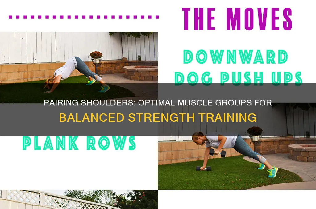what muscle group should i pair with shoulders