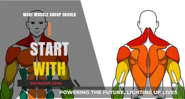 Kickstart Your Fitness Journey: Ideal Muscle Group to Begin With