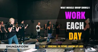 Optimize Your Workouts: Daily Muscle Group Training Strategies Revealed