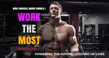 Maximize Your Workouts: Targeting the Most Effective Muscle Groups