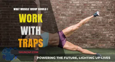 Traps Training: Best Muscle Groups to Pair for Optimal Results