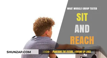 Sit and Reach Test: Targeting Hamstrings, Lower Back, and Hip Flexors