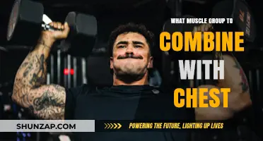 Maximize Chest Workouts: Best Muscle Groups to Combine for Optimal Results