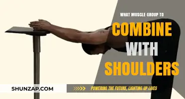 Maximize Shoulder Workouts: Best Muscle Groups to Combine for Optimal Results