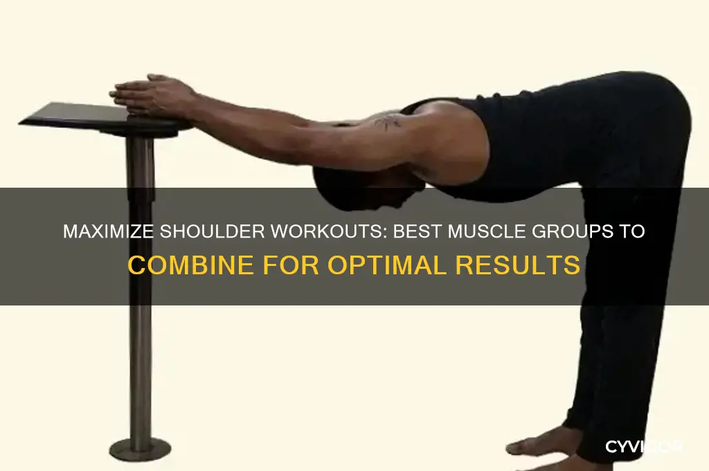 what muscle group to combine with shoulders