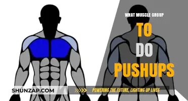 Master Pushups: Targeting Key Muscle Groups for Maximum Strength