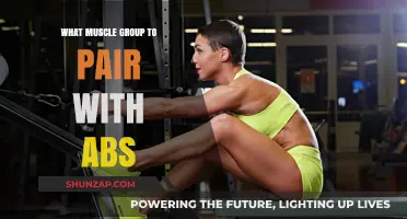 Effective Muscle Pairings: Maximizing Abs Workouts with Complementary Groups