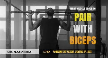 Maximize Arm Gains: Best Muscle Groups to Pair with Biceps