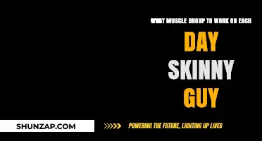 Skinny Guy's Guide: Daily Muscle Group Workout Plan