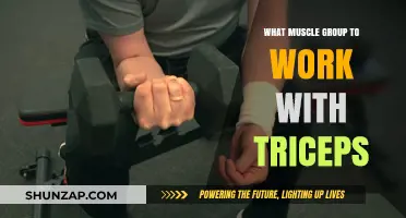 Maximize Arm Strength: Pairing Triceps with Complementary Muscle Groups