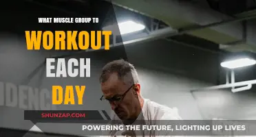 Daily Workout Plan: Targeting Muscle Groups for Optimal Results