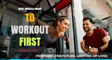 Maximize Gains: Strategic Muscle Group Order for Optimal Workouts