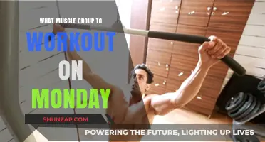 Kickstart Your Week: Monday's Ideal Muscle Group Workout Plan