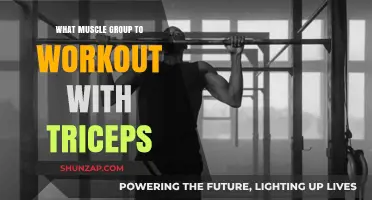 Maximize Arm Strength: Pairing Triceps with Complementary Muscle Groups