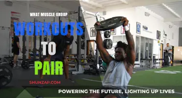 Effective Muscle Pairing Strategies for Optimal Workout Results