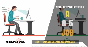 How Desk Jobs Impact Your Muscles: A Comprehensive Guide