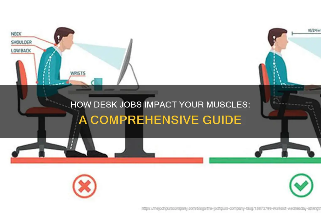 what muscle groups are affected by a 9-5 job