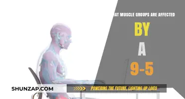 Sitting All Day: Muscles Affected by a 9-5 Desk Job