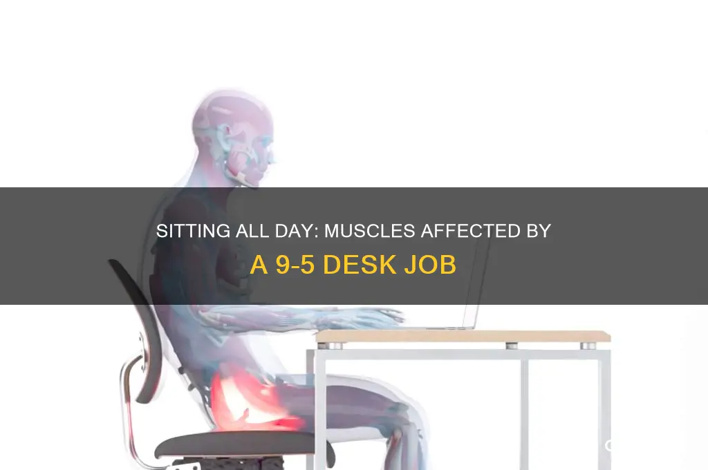 what muscle groups are affected by a 9-5