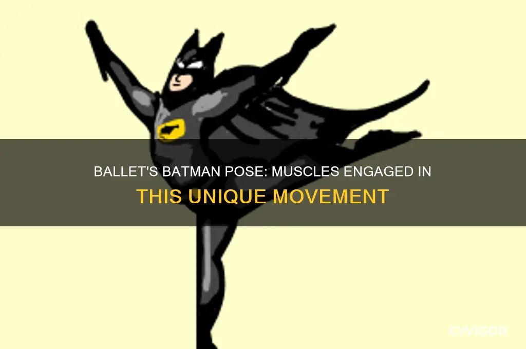 what muscle groups are affected when you batma in ballet